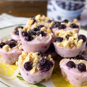 Lemon Blueberry Frozen Yogurt Bites